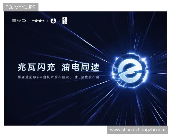 稳定可靠的k8凯发网址登录入口，全天候在线支持多设备畅玩无障碍