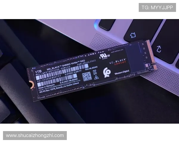 探索K8亚娱多样化游戏类型推荐满足不同玩家的娱乐需求与偏好