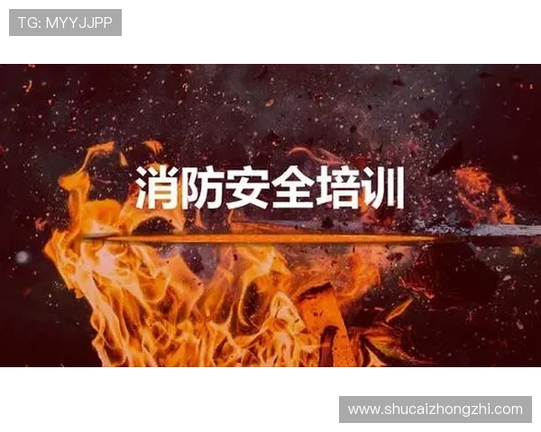 凯发娱乐注册平台多重安全措施，保护玩家账户信息安全无忧